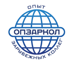 Опыт зарубежных коллег