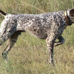 Социальная SEO: лучшие примеры для Facebook и Twitter