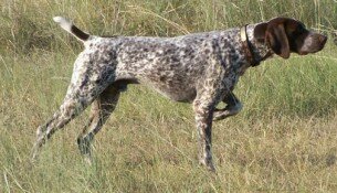 Социальная SEO: лучшие примеры для Facebook и Twitter