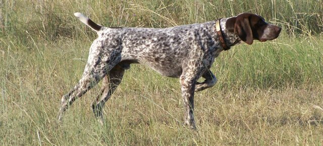 Социальная SEO: лучшие примеры для Facebook и Twitter