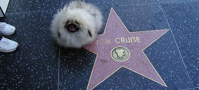 Копирайтерам: основы cценарного мастерства помогут в создании крутого контента