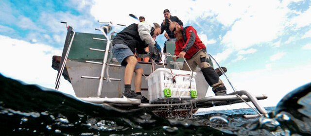 Откровения рекламиста