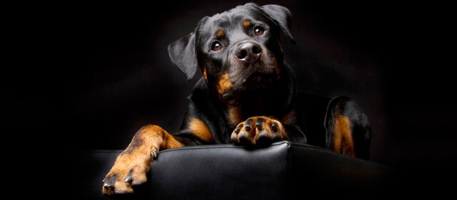 В чем ошибаются маркетологи, когда думают о лояльности